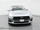 Thumbnail of 2024 Silver Metallic Ford Mustang