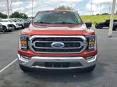 Thumbnail of 2023 HOT PEPPER RED MET TINTD CC Ford F-150