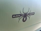 Thumbnail of 2024 Olive Green Pearlcoat RAM 2500