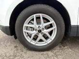Thumbnail of 2024 White Ford Edge