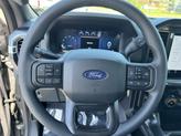 Thumbnail of 2025 Gray Metallic Ford F-150