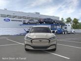 Thumbnail of 2025 Beige Ford Mustang Mach-E