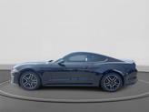 Thumbnail of 2023 Shadow Black Ford Mustang