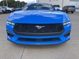 Thumbnail of 2024 Grabber Blue Ford Mustang