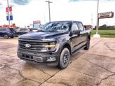 Thumbnail of 2025 Agate Black Metallic Ford F-150