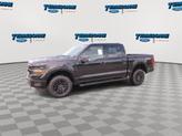 Thumbnail of 2025 Agate Black Metallic Ford F-150