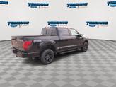 Thumbnail of 2025 Agate Black Metallic Ford F-150