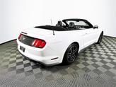 Thumbnail of 2022 Oxford White Ford Mustang