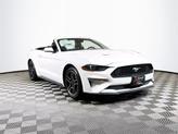Thumbnail of 2022 Oxford White Ford Mustang