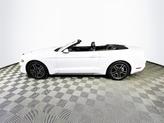 Thumbnail of 2022 Oxford White Ford Mustang