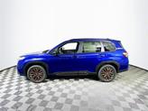 Thumbnail of 2025 Blue Subaru Forester