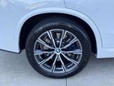 Thumbnail of 2025 Alpine White BMW X5