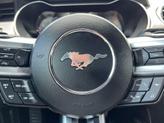 Thumbnail of 2019 Magnetic Ford Mustang