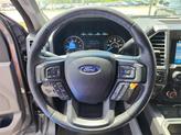Thumbnail of 2016 Magnetic Ford F-150