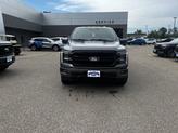 Thumbnail of 2025 Gray Ford F-150