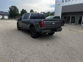 Thumbnail of 2025 Gray Ford F-150