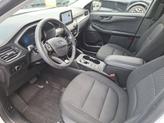 Thumbnail of 2023 Oxford White Ford Escape