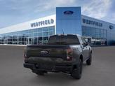 Thumbnail of 2025 Shadow Black Ford Ranger