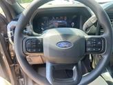 Thumbnail of 2025 Carbonized Gray Metallic Ford F-150