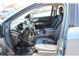 Thumbnail of 2019 Baltic Sea Green Metallic Ford Escape