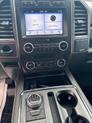 Thumbnail of 2019 Magnetic Ford Expedition Max