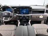 Thumbnail of 2025 Avalanche Ford F-250
