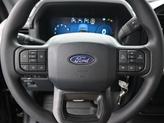 Thumbnail of 2025 Black Metallic Ford F-150