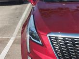 Thumbnail of 2021 Infrared Tintcoat Cadillac XT5