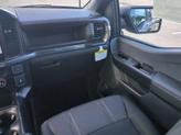 Thumbnail of 2025 Silver Ford F-150