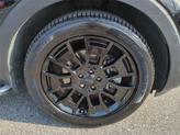 Thumbnail of 2021 Ebony Black Kia Telluride