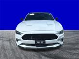 Thumbnail of 2022 Oxford White Ford Mustang