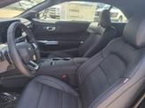 Thumbnail of 2025 Magenta Ford Mustang