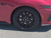Thumbnail of 2025 Magenta Ford Mustang
