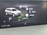 Thumbnail of 2019 Florett Silver Metallic Audi Q7