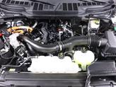 Thumbnail of 2024 Oxford White Ford F-150