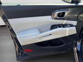 Thumbnail of 2025 Panthera Metal Kia Sorento
