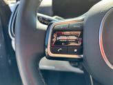 Thumbnail of 2025 Panthera Metal Kia Sorento