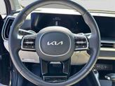 Thumbnail of 2025 Panthera Metal Kia Sorento