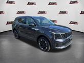 Thumbnail of 2025 Panthera Metal Kia Sorento