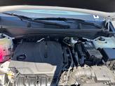 Thumbnail of 2025 Glacier White Pearl/Ebony Black Roof Kia Sportage