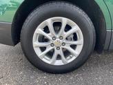 Thumbnail of 2019 Ivy Metallic Chevrolet Equinox