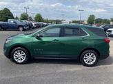 Thumbnail of 2019 Ivy Metallic Chevrolet Equinox