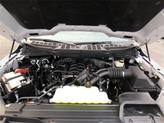 Thumbnail of 2022 STAR WHITE METALLIC TRICOAT Ford F-150