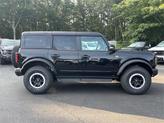 Thumbnail of 2025 SHADOW BLACK Ford Bronco