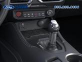 Thumbnail of 2025 Molten Ford Mustang