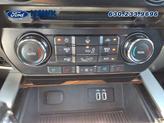 Thumbnail of 2016 Magnetic Ford F-150