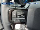 Thumbnail of 2024 Black Metallic Ford F-150 Lightning