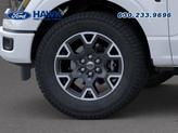 Thumbnail of 2025 Oxford White Ford F-150
