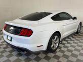 Thumbnail of 2019 Oxford White Ford Mustang