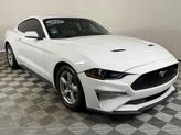 Thumbnail of 2019 Oxford White Ford Mustang